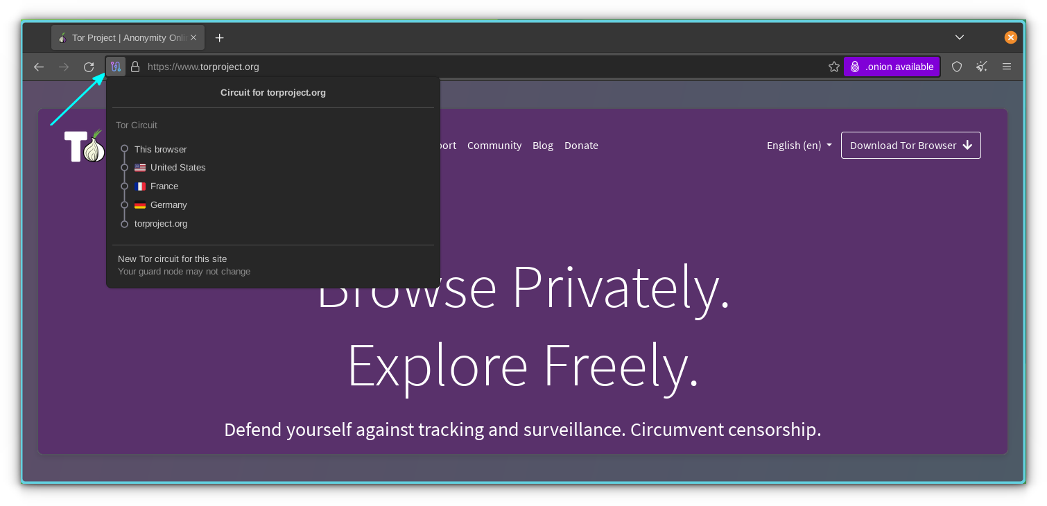 Tor Circuit is shown when clicked on the circuit button on the browser address bar.