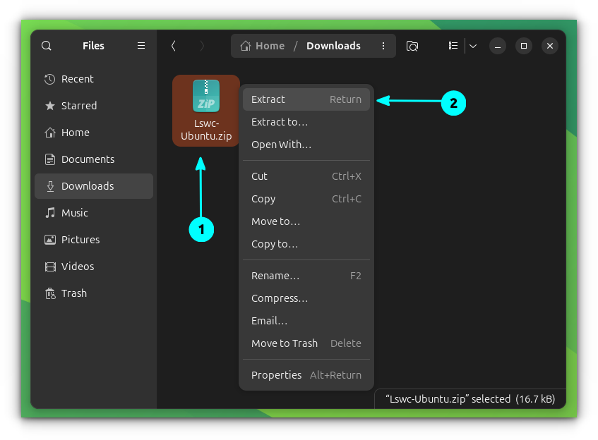 Right-click on the downloaded zip archive file of LSWC and select "Extract" from the context menu.