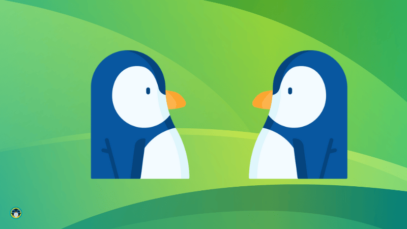 two linux tux avatars looking at each other to illiustrate two linux dual boot os