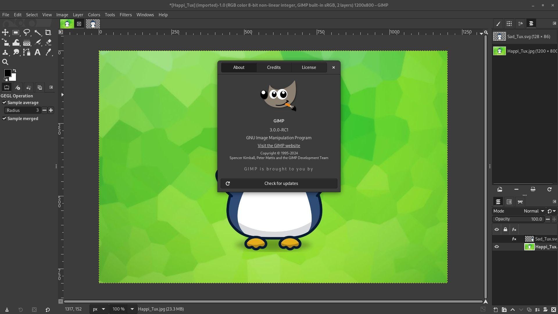 a screenshot of gimp 3.0 with the about dialog open
