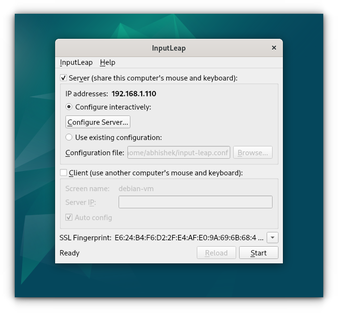 configuring input-leap as a server on deb-vm