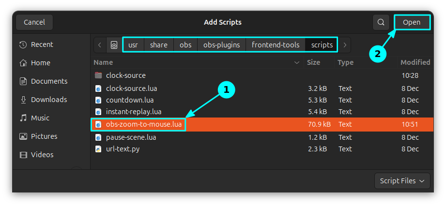 Open the Lua script file, that has been copied to the scripts directory in OBS Scripts.