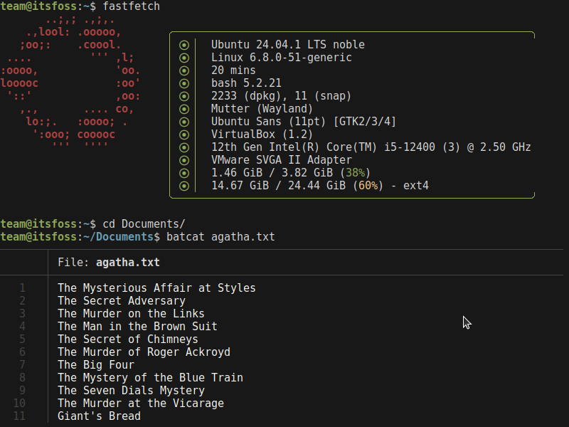 Alacritty Terminal Emulator with fastfetch and bat pager