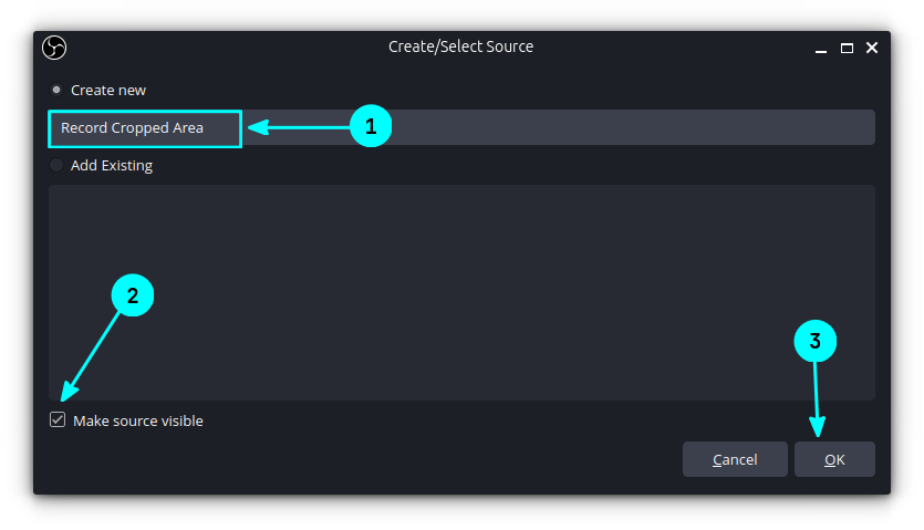 Give a name to the source in OBS Source screen. Make the source visible and click OK.