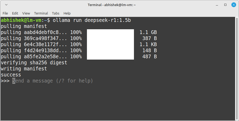 How to Install DeepSeek R1 Locally on Linux