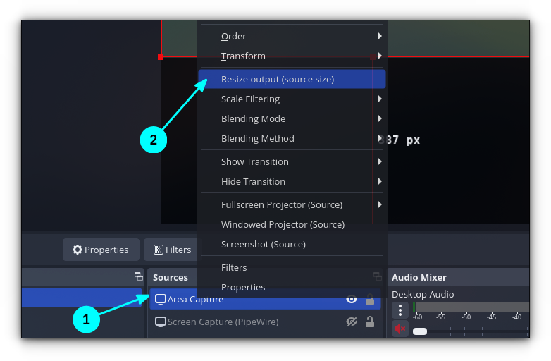 Resize the output in the area capture scenario.