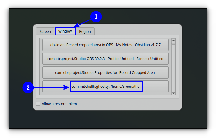 Record Windows and Cropped Area in OBS Studio