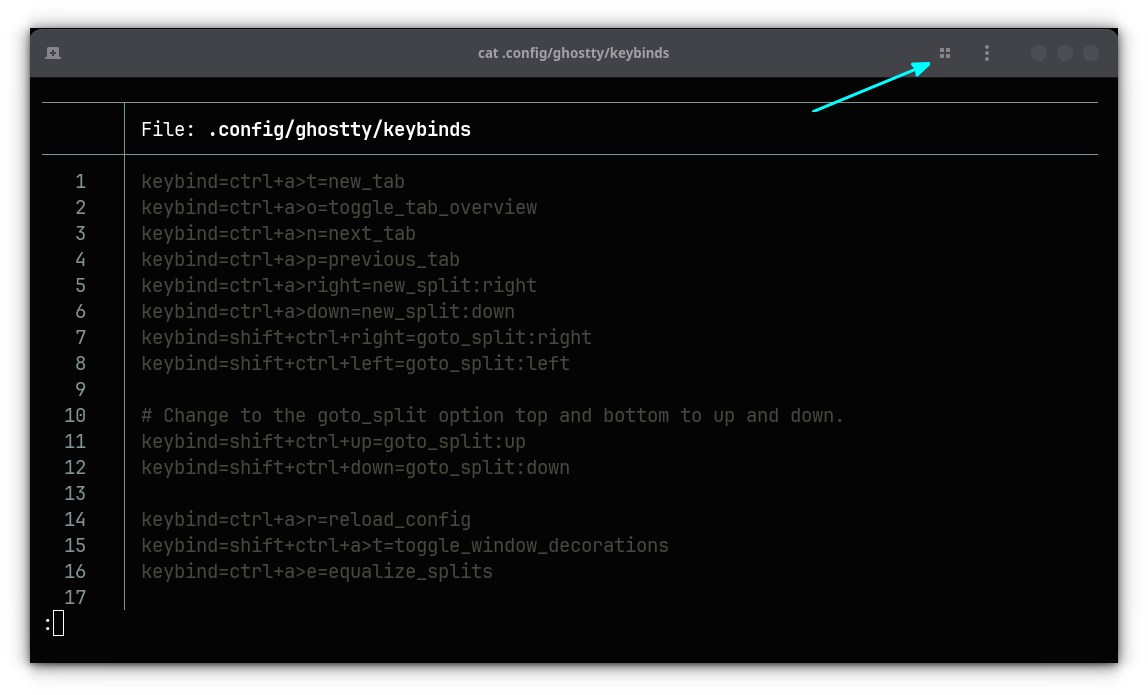 Click on overview button in the topbar of Ghostty terminal.