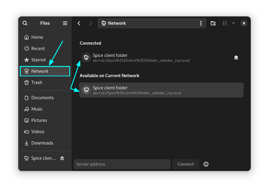 Go to the Network view in newer Nautilus releases to mount the Spice client folder.