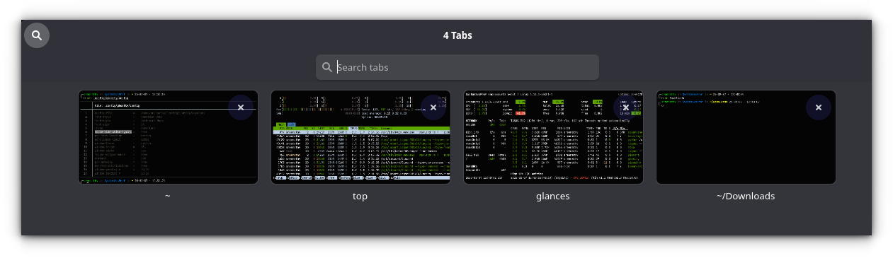 Using tabs in Ghostty. You can also see a search bar, if you click on the search button on top-left title bar.