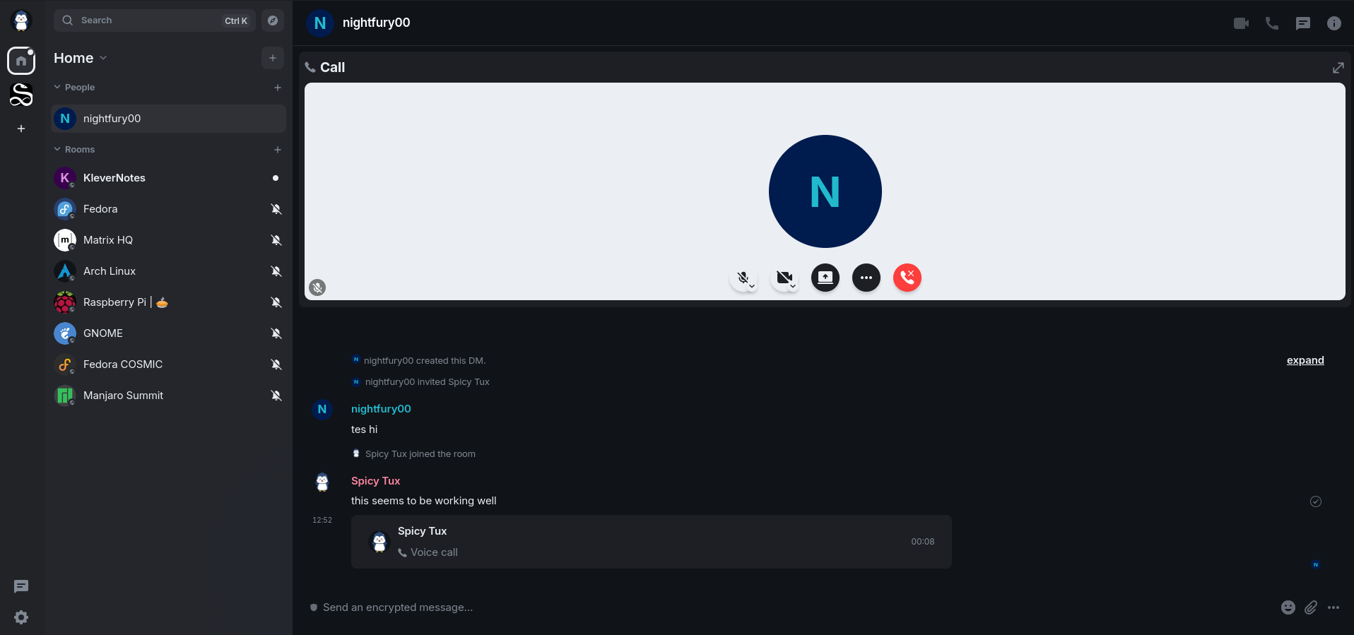 a screenshot of element web with an audio call and chat window open