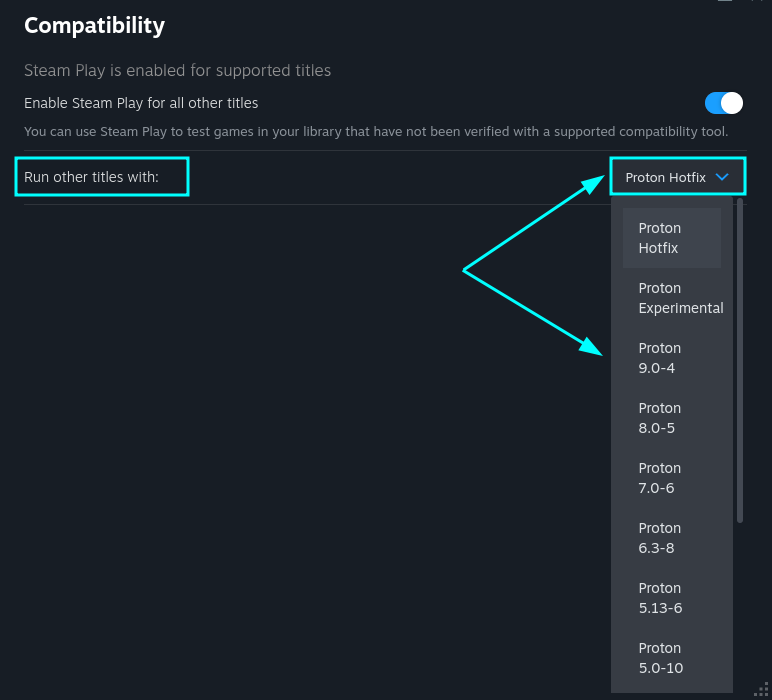 Available Proton Versions displayed