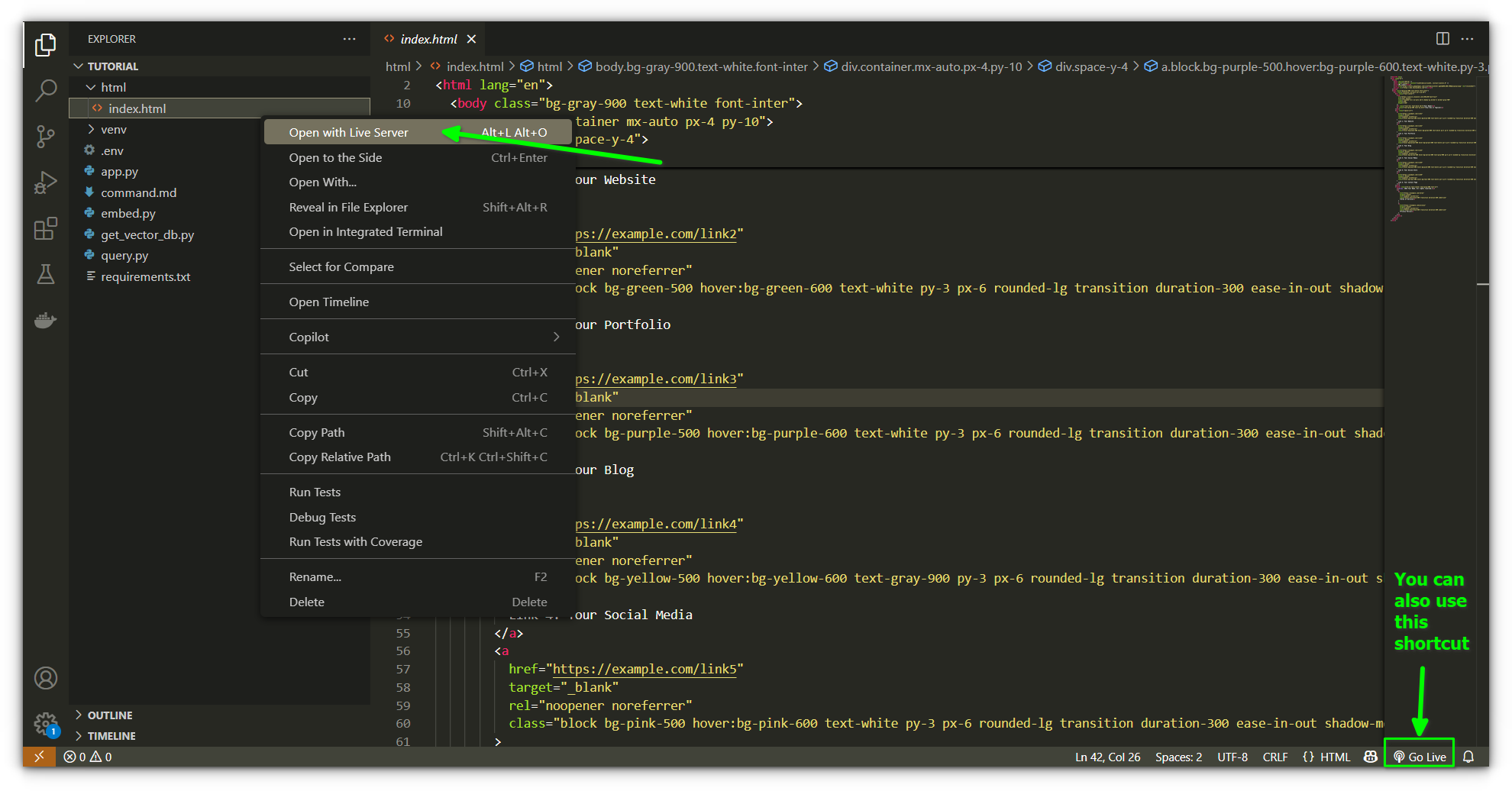 opening the html file with live server