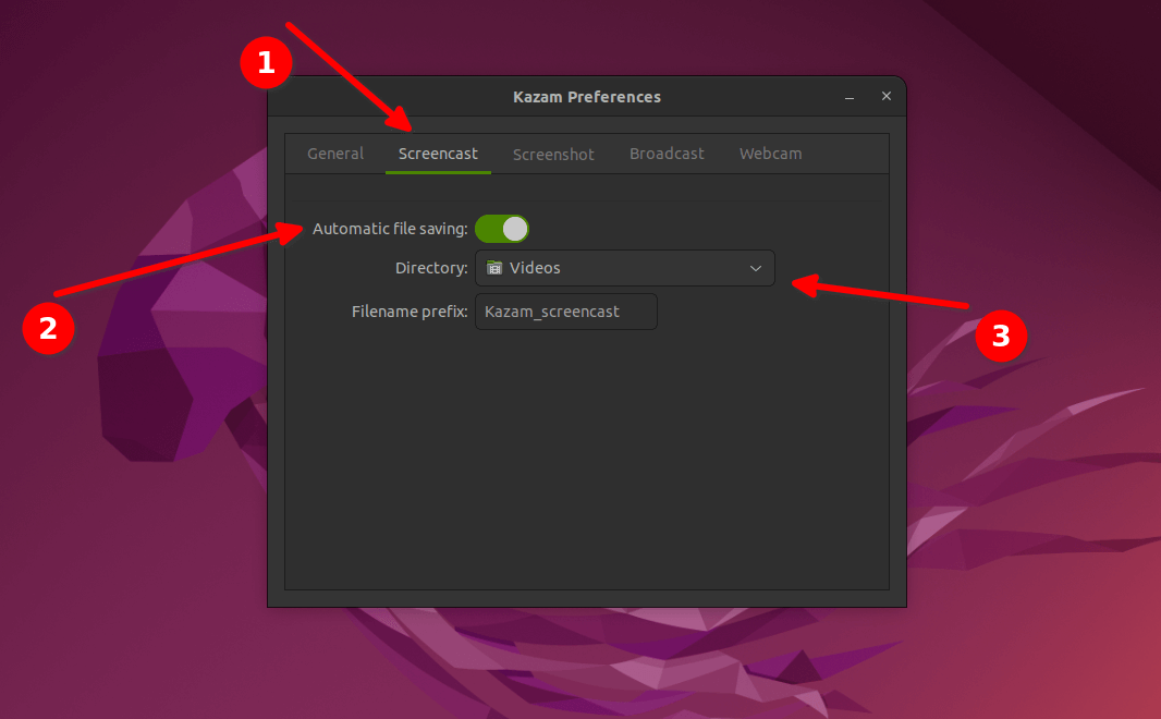 Autosave screen recordings in a chosen location