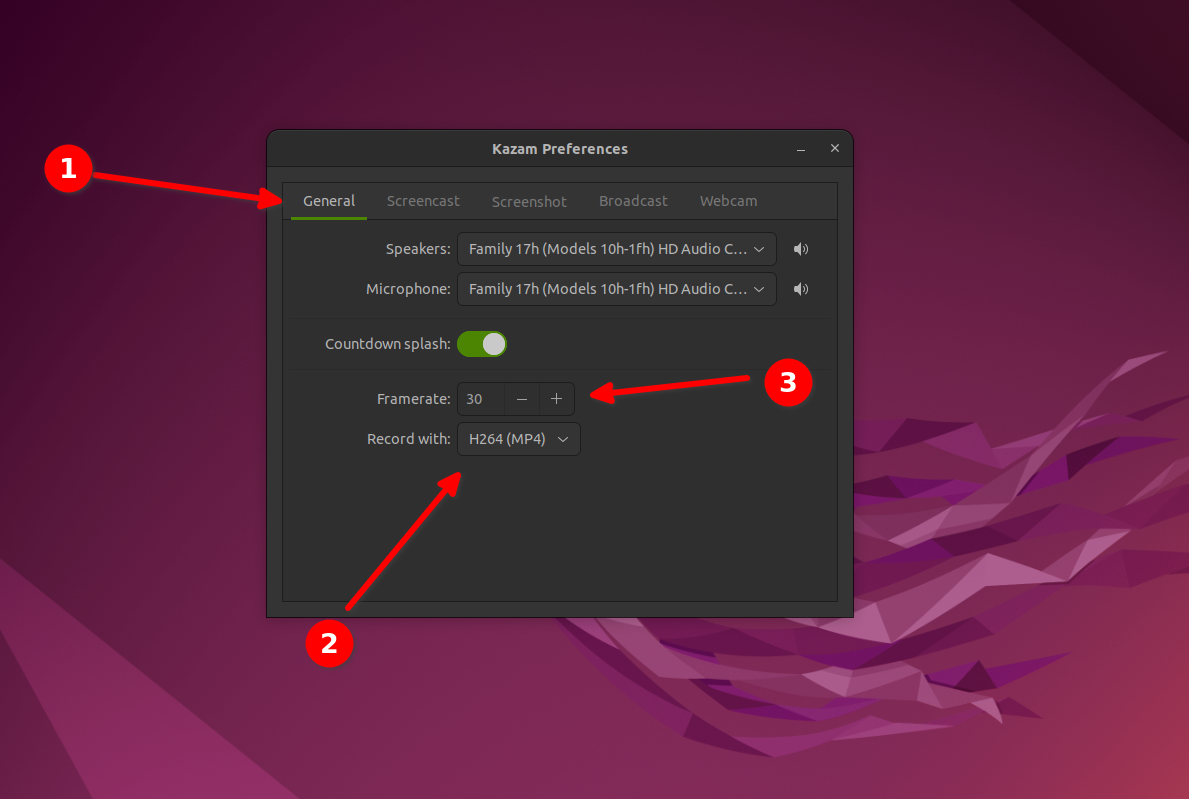 choosing a file format and fps for a video recording file