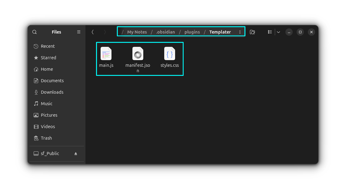 Paste the downloaded files to the plugins directory