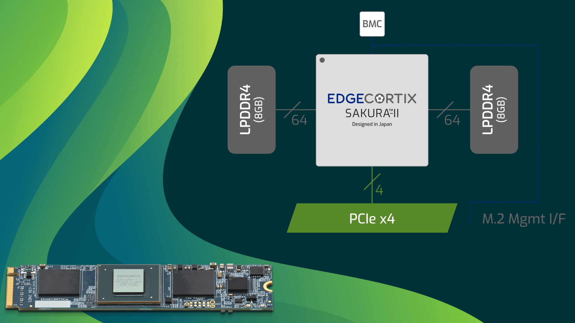 an illustration that shows a block diagram of the sakura-ii m.2 on the right, and the module itself on the bottom left