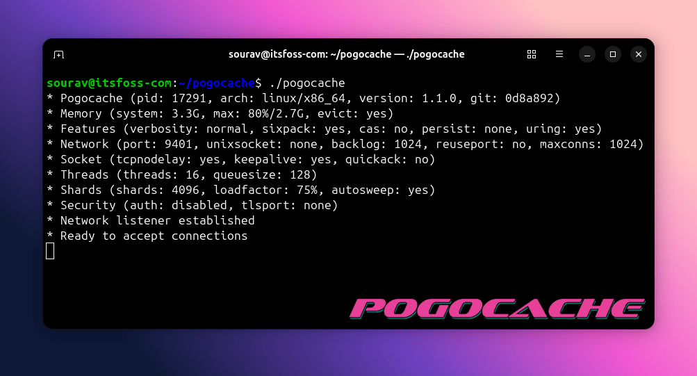 a terminal window is shown with the ./pogocache command executed, there is a bunch of config information on the screen in text, and the pink-colored pogocache logo has been inserted on the bottom right