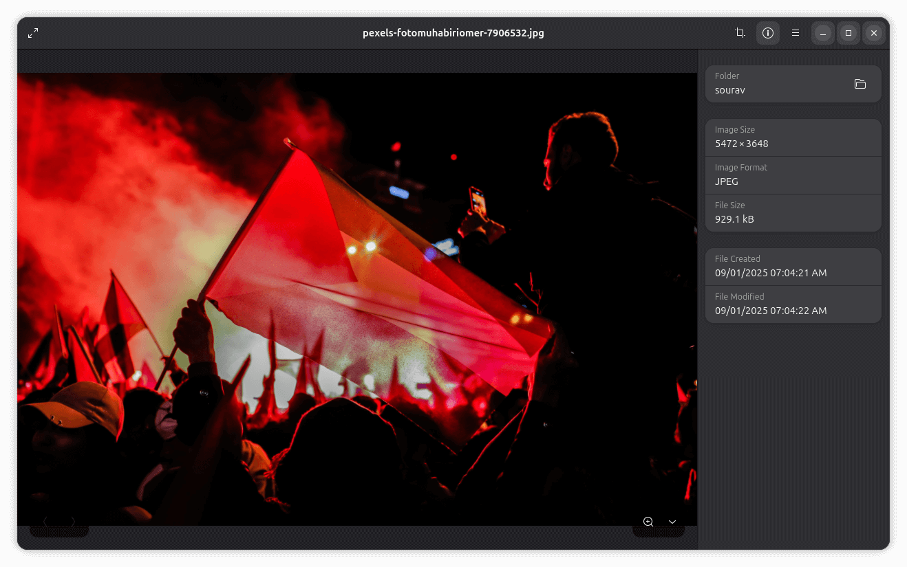 a screenshot of loupe with an image open and the file information dialog on the right, the image shows a protest with many people in it, and the palestenian flag being waved