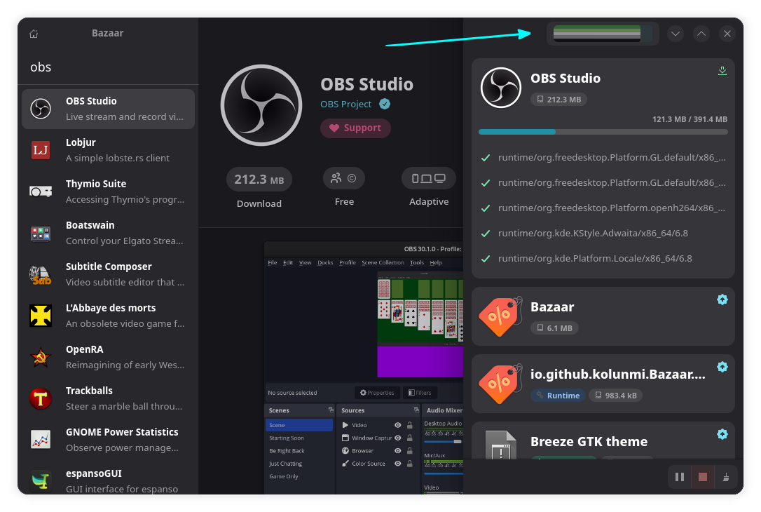 Bazaar progress bar with Aromantic Flag.