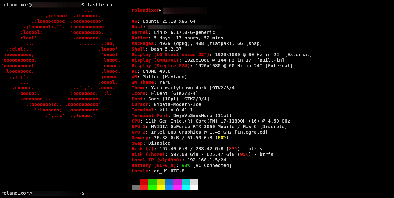 kitty keeps it super clean and minimalist