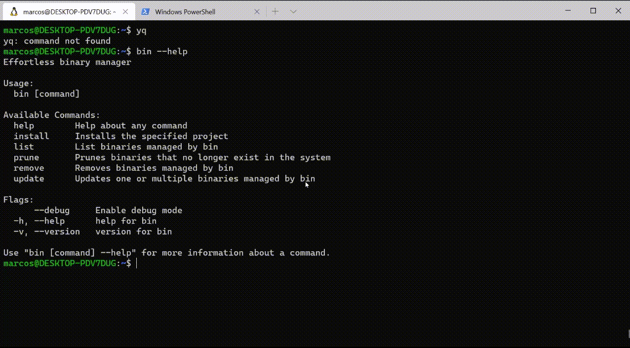 a screenshot of bin in action