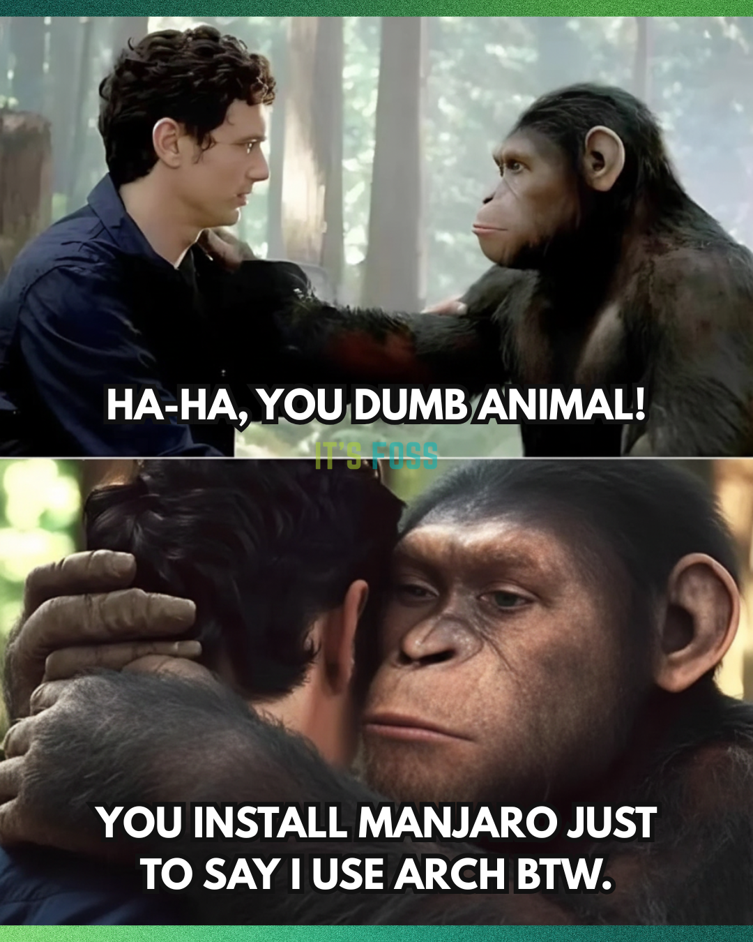 manjaro meme, dumb animal (the human)
