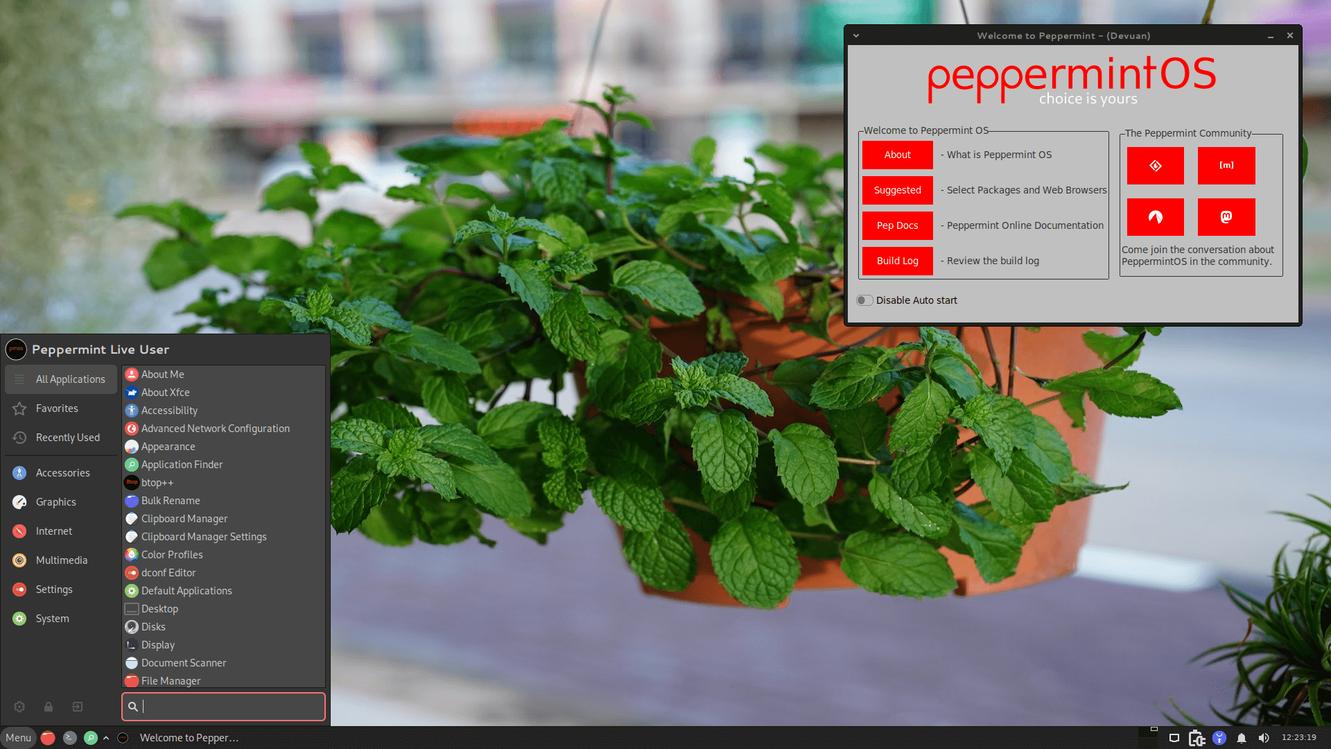 peppermint os desktop