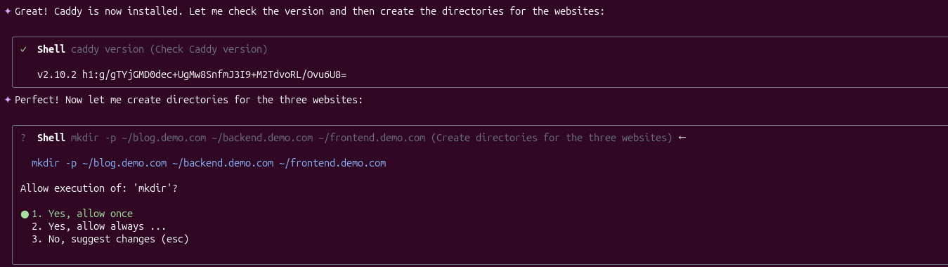 Qwen Code CLI shows successful Caddy installation and Caddyfile/site config creation