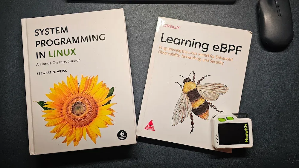 eBPF and system programming