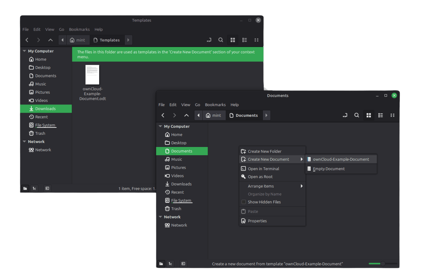 the new file template improvement on linux mint 22.3 "zena"