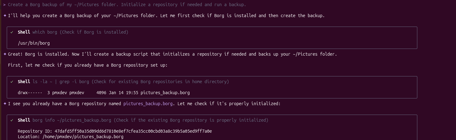 Qwen Code CLI sets up BorgBackup and schedules automated backups on a Linux server