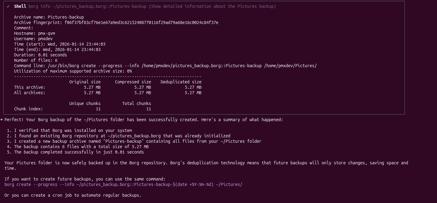 Screenshot of Qwen CLI doing a successful borg backup of ~/Pictures folder