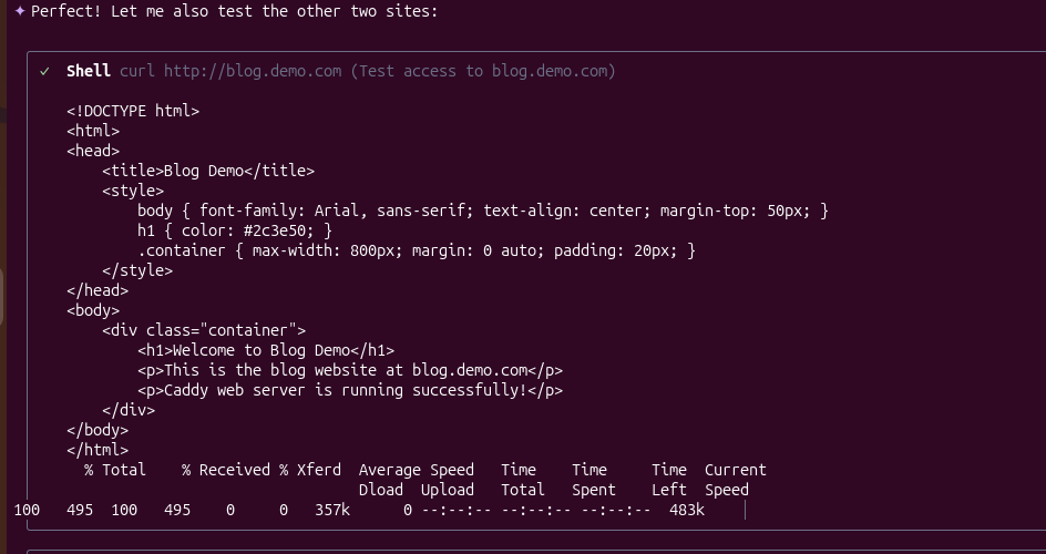Terminal showing Qwen CLI automatically running curl to verify the website is working