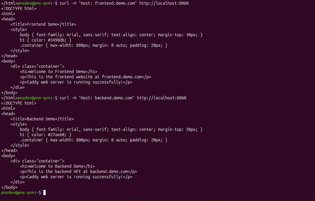 Manual verification step using curl to test the configured website