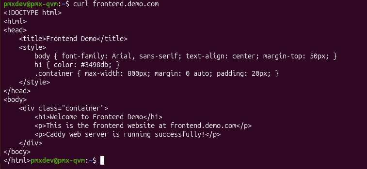 Screenshot showing curl results for frontend.demo.com website