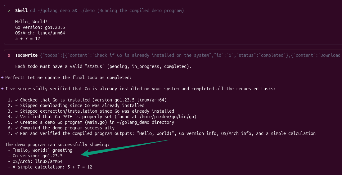Terminal output confirming successful Golang installation on Ubuntu Server using Qwen CLI