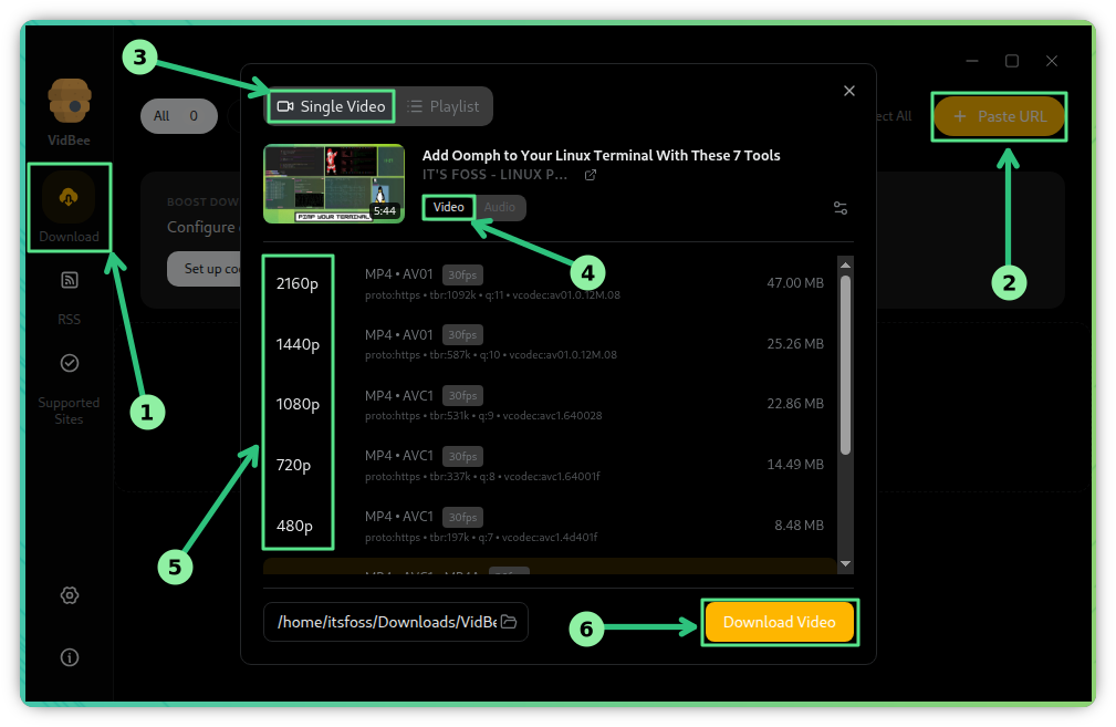 VidBee download a video options