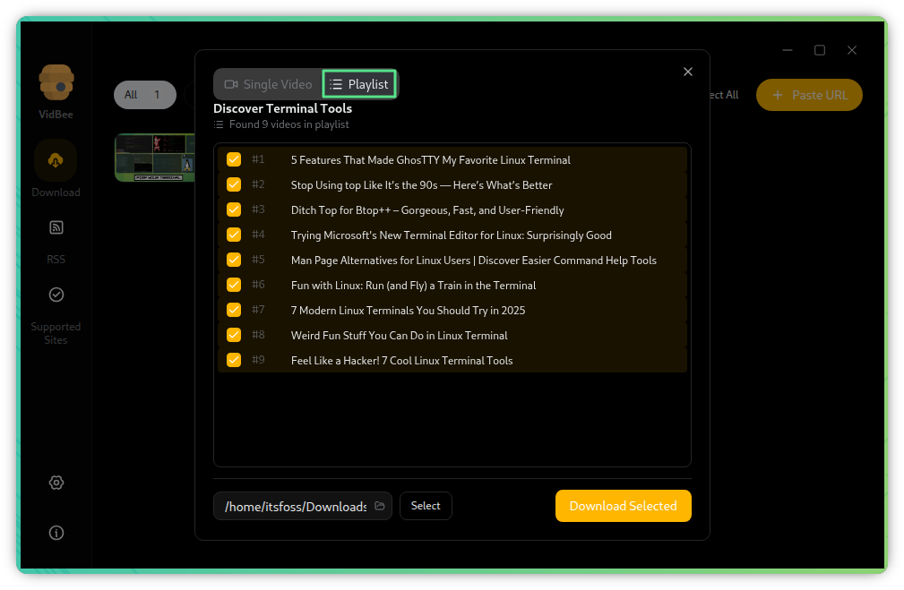 VidBee download playlist from the URL