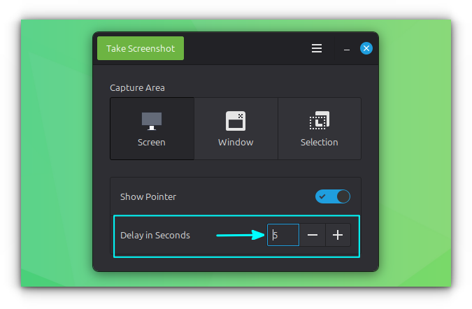 Add a delay to taking screenshot in Linux Mint.