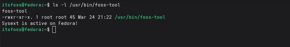 Verifying custom binary in usr-bin