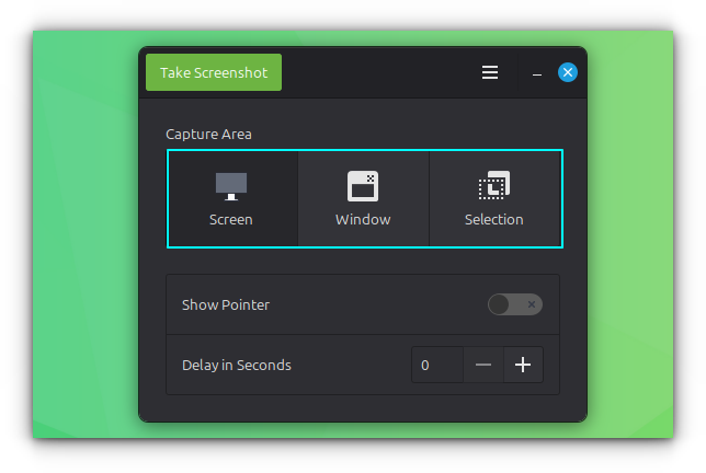 Linux Mint GNOME Screenshot Utility Interface.