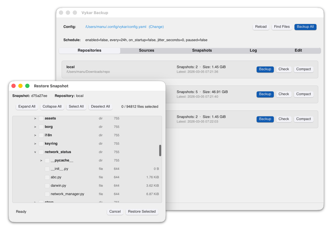 two app windows showcase the vykar backup solution in this picture