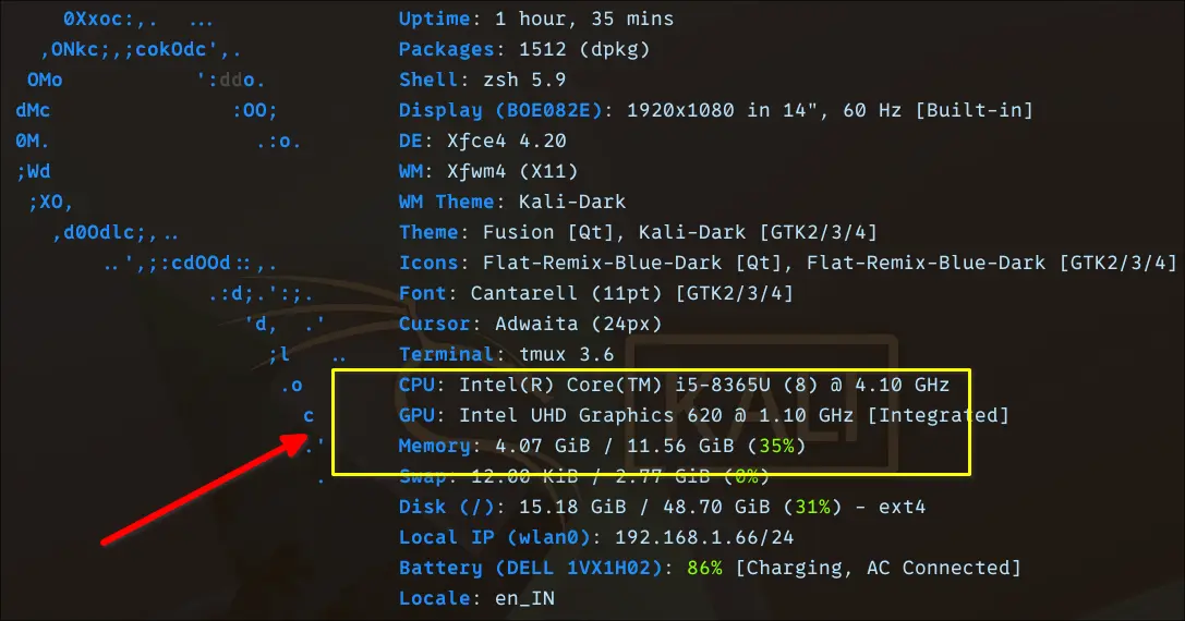 Can You Run LLMs Locally Without a GPU? I Tested 8 Models on Linux