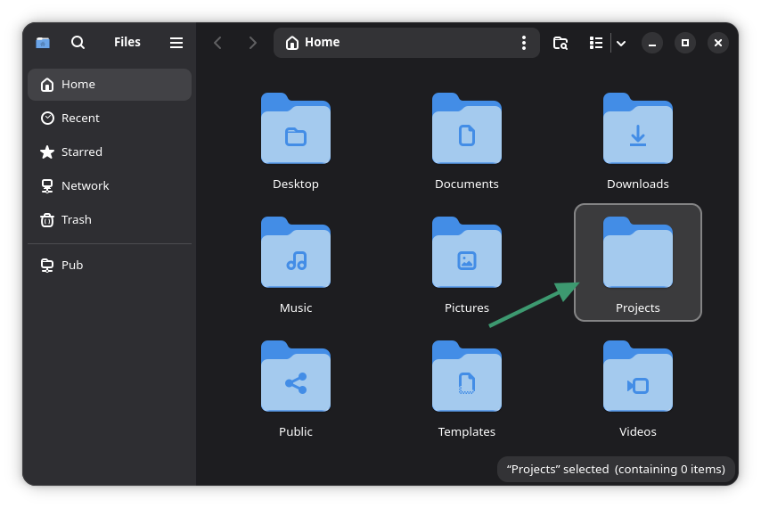 New Projects directory in Linux