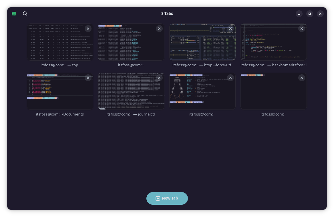 A screenshot showing the tabs overview in Ptyxis terminal emulator.