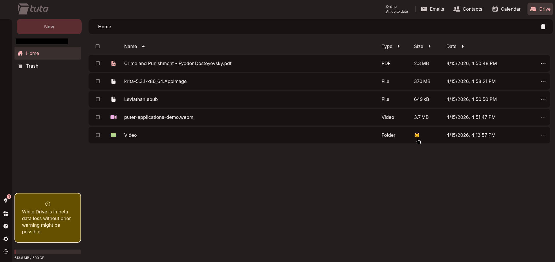 many different file types are shown in this screenshot of tuta drive closed beta