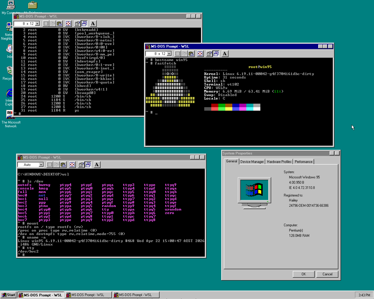 on a windows 95 system, wsl9x is showcased via many ms dos prompt windows 95