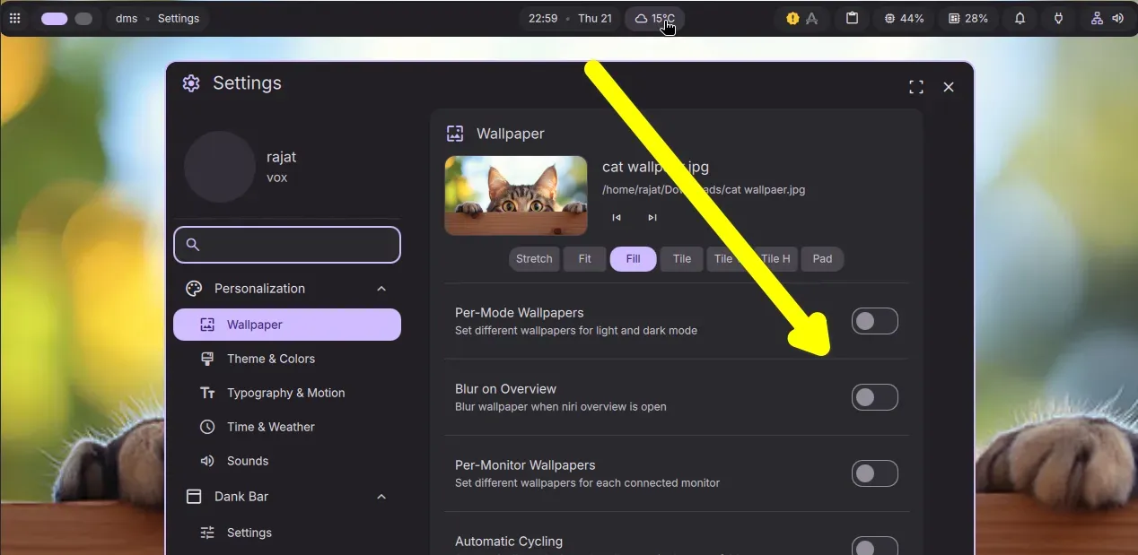 Settings menu in Dank Linux Desktop Environment