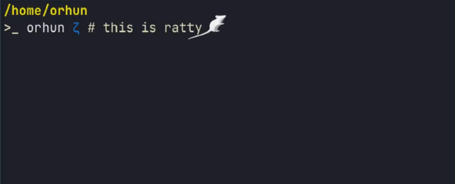 Ratty terminal